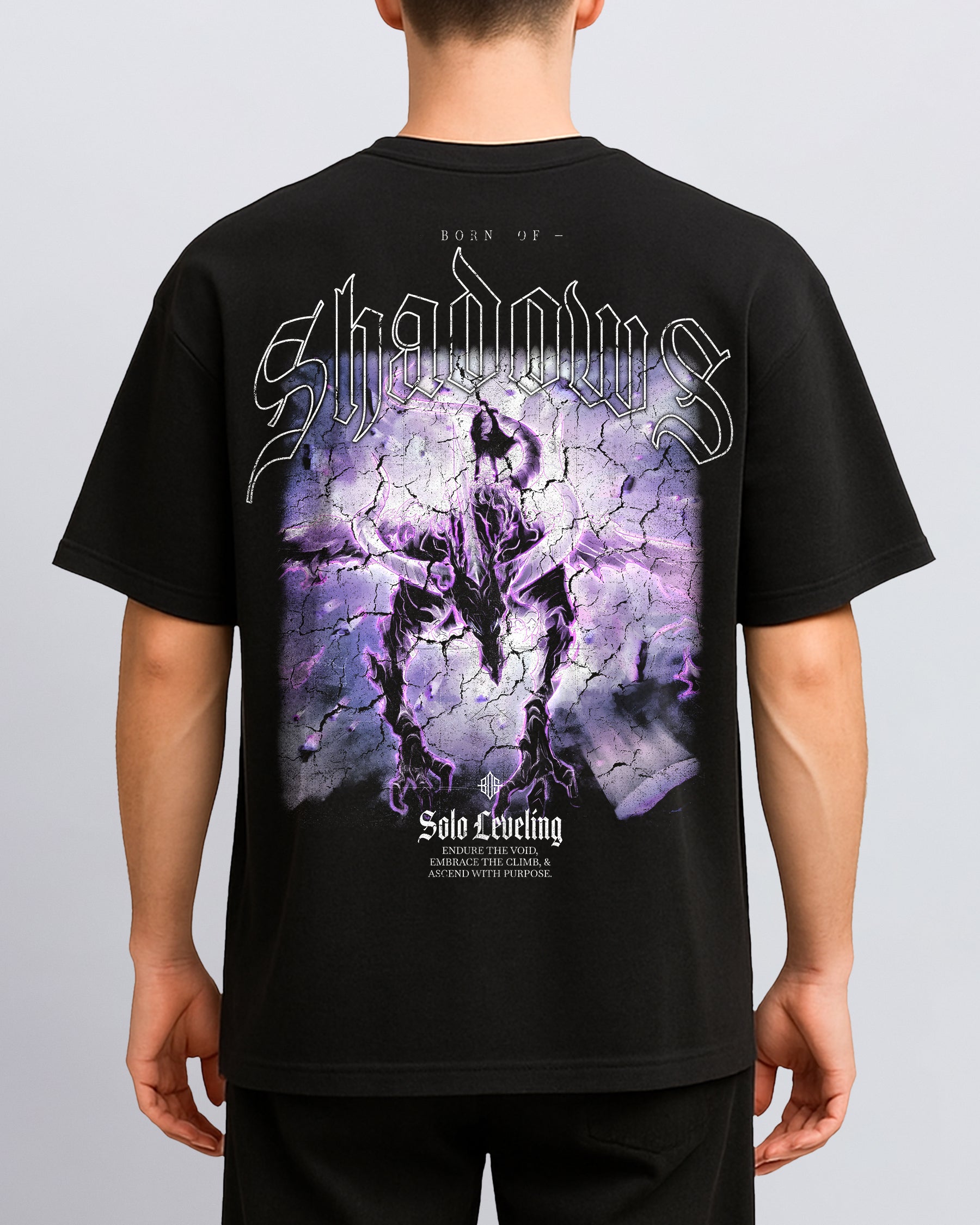 Solo Leveling 'Kaisel' T-Shirt